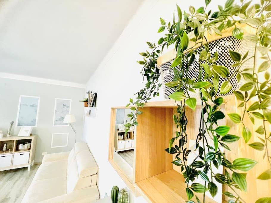 Suite Colibri - Sanremo Centro Zewnętrze zdjęcie