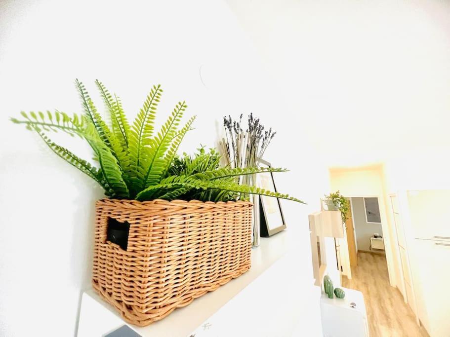 Suite Colibri - Sanremo Centro Zewnętrze zdjęcie