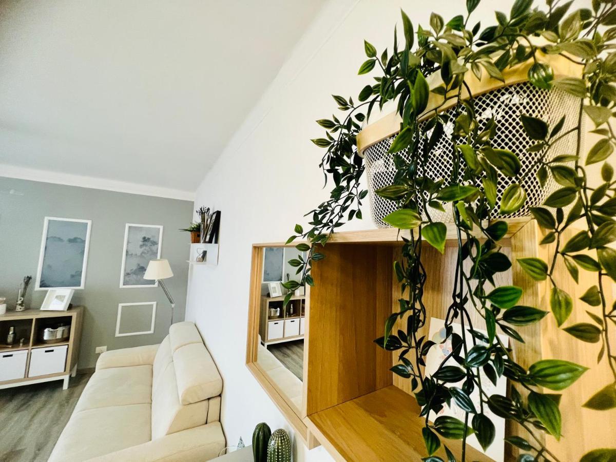 Suite Colibri - Sanremo Centro Zewnętrze zdjęcie