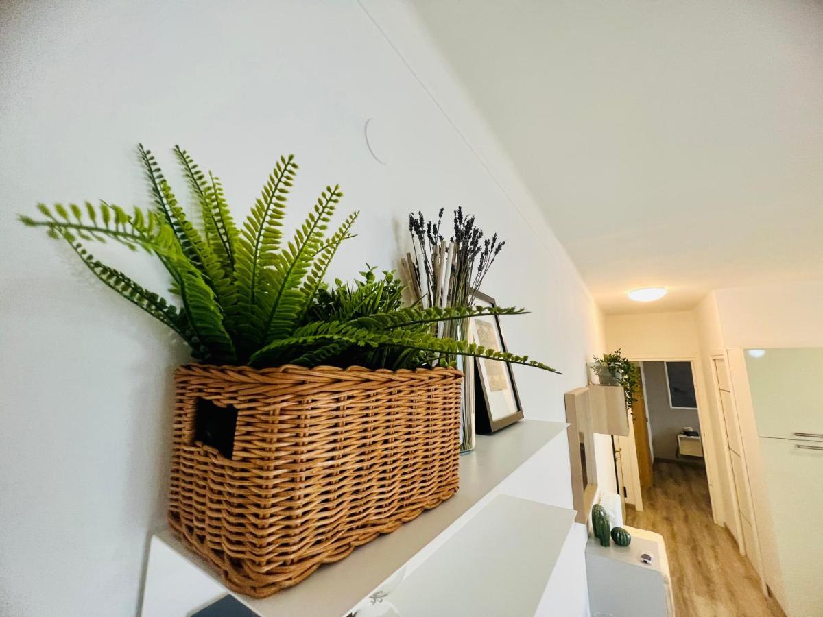 Suite Colibri - Sanremo Centro Zewnętrze zdjęcie